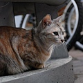 DSC_1684.JPG