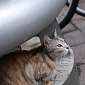 DSC_1662.JPG
