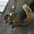 DSC_4429.JPG