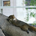 DSC_4444.jpg