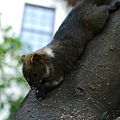 DSC_4448.jpg