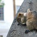 DSC_4451.jpg