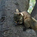 DSC_4454.jpg