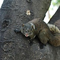DSC_4455.jpg