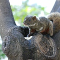 DSC_4477.jpg