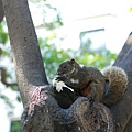 DSC_4480.jpg