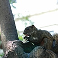DSC_4481.jpg