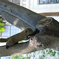 DSC_4495.jpg