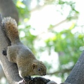 DSC_4497.jpg