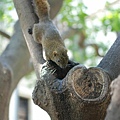 DSC_4499.jpg