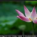 DSC_8737.jpg