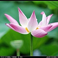 DSC_8739.jpg