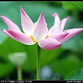DSC_8740.jpg