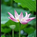 DSC_8741.jpg