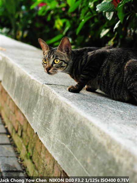 nEO_IMG_DSC_4609.jpg