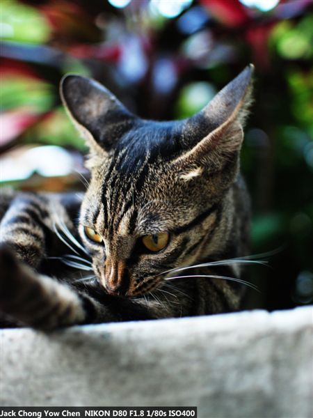 nEO_IMG_DSC_4719.jpg
