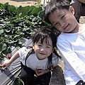 DSC02198.jpg