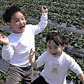 DSC02194.jpg