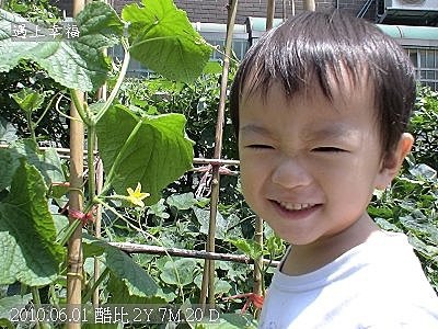 09 2010.06.01 酷比與小黃瓜.jpg
