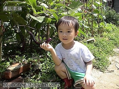 06 2010.06.01 酷比與茄子.jpg