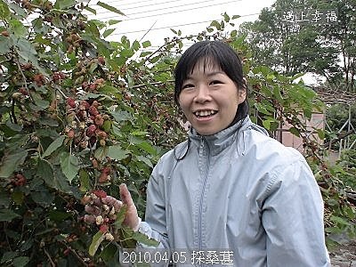05採桑葚.jpg