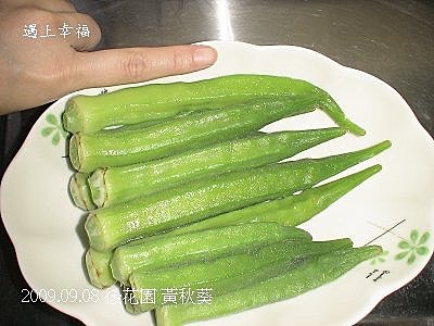 08黃秋葵.jpg