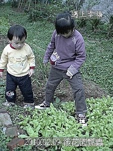 06 20100209 後花園瓢蟲.jpg