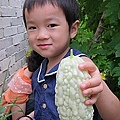 05-2011.06.21   豐收的早晨 08.jp