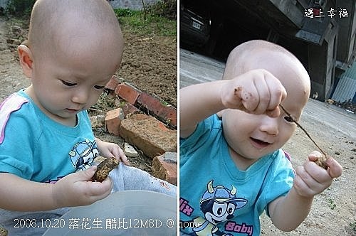 9拔花生.jpg