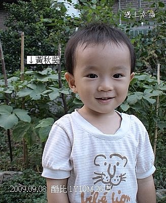 03黃秋葵.jpg