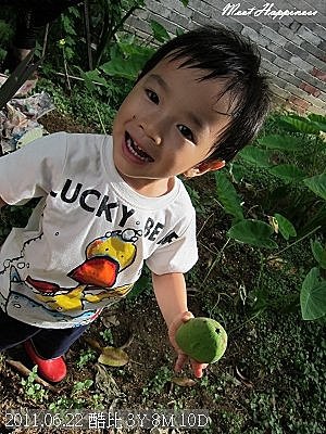 03-2011.06.22香水檸檬11.jpg