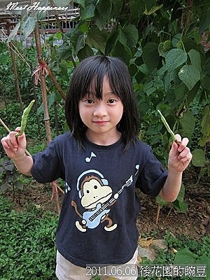 01-2011.06.06 後花園的豌豆 08.jp