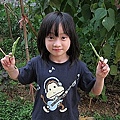 01-2011.06.06 後花園的豌豆 08.jp