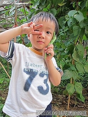 02-2011.06.06 後花園的豌豆 07.jp
