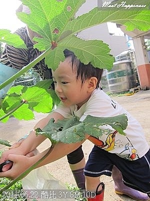 06-2011.06.22香水檸檬08.jpg