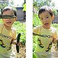 12-2011.05.27-13 小黃瓜.jpg