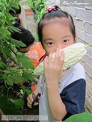 06-2011.06.21   豐收的早晨 07.jp