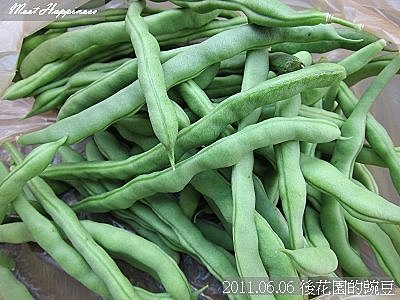 06-2011.06.06 後花園的豌豆 03.jp