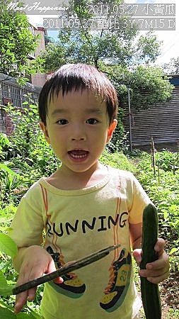 13-2011.05.27-11 小黃瓜.jpg