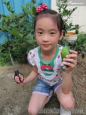 11-2011.06.22香水檸檬02.jpg