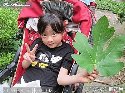 07-2011.08.31 無花果19.jpg