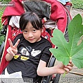 07-2011.08.31 無花果19.jpg