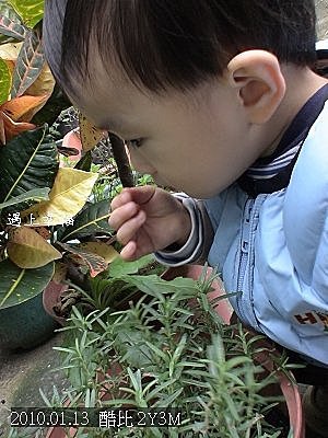 08酷比與香草.jpg
