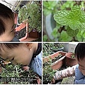 07酷比與香草.jpg