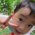 07-2011.08.06修剪芒果樹 03.jpg