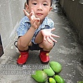 10-2011.07.16 後花園 10.jpg