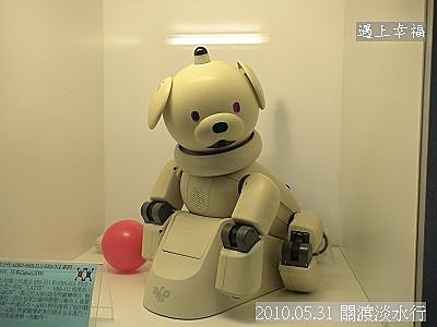 19 2010.05.31 關渡淡水行 機器人