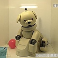19 2010.05.31 關渡淡水行 機器人