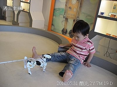 62  2010.05.31 關渡淡水行 機器人