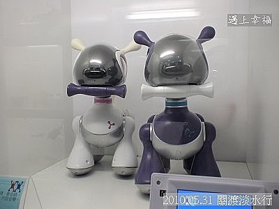 24 2010.05.31 關渡淡水行 機器人